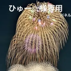 【ひゅー☆様専用】パネル 8/18