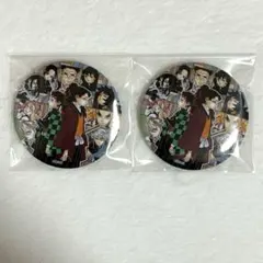 鬼滅の刃 22巻 特装版 缶バッジ 柱