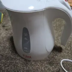 Item thumbnail for item 0e2c2230-a84d-4d7e-bcd6-bc01f13e4cf3