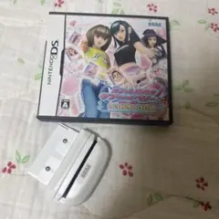 セガ ニンテンドーDS ゲームソフト