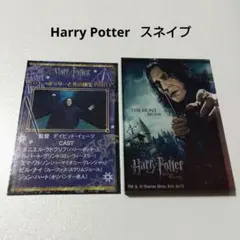 ハリーポッター賢者の石 スタジオツアー東京限定プロモ付き