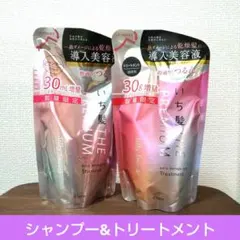 いち髪 THE PREMIUM シャンプー & トリートメント セットのサムネイル