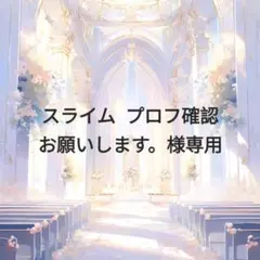 スライム プロフ確認お願いします。様専用2602W3