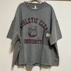 Lupilien 異素材切り替え Tシャツ　ブルドッグ　モクグレー