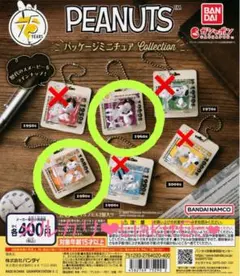 スヌーピー ピーナッツ パッケージミニチュアコレクション 1960s 1980s