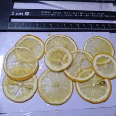 Item thumbnail for item 8432b3f6-9d75-40aa-8b0f-1ac9ffdb3cc0