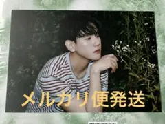 ベッキョン　Hello,World   World ver   ポストカード