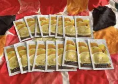 バーデンス　スキャルプシャンプートリートメント　グレープフルーツ試供品