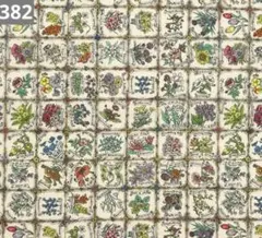 382♡リバティ ランゲージオブフラワーズ タナローン生地