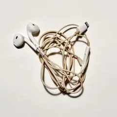 iPhone 有線イヤホン Lightning Apple純正