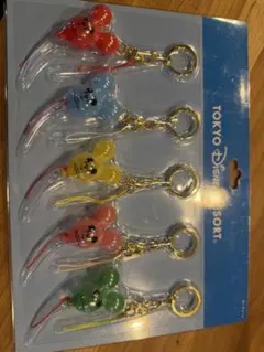 東京ディズニーリゾート ミッキーキーホルダー 5個セット