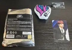 &TEAM HARUA クッションキーホルダー トレカ