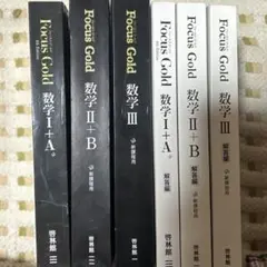 Focus Gold 数学 I+A II+B III 回答つきセット