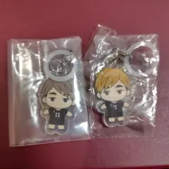 ハイキューふらっとめじるしアクセサリアクセサリー