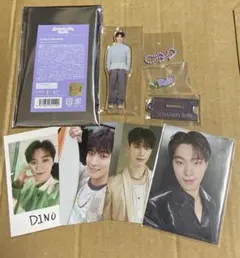 ♡SEVENTEEN♡アクリルキーリング♡トレカ♡ディノ
