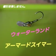 ウォーターランド　アーマードスイマーのサムネイル