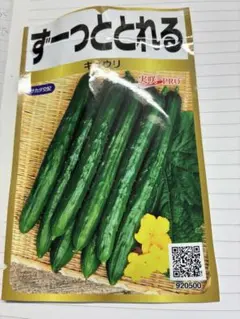 購入種　抑制栽培OK ずーっととれるきゅうり　種　5粒　➕おまけの種のサムネイル