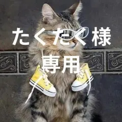 たくたく様専用おまとめリング