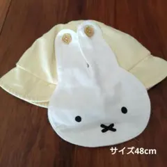 Item thumbnail for item de538451-4ede-442d-80b2-9aa054f7092e