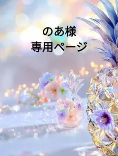 ❤のあ様専用ページ❤