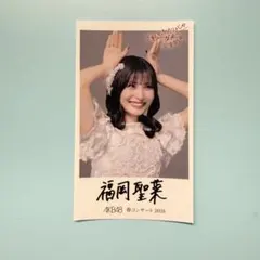 AKB48 福岡聖菜 春コンサート 2026 ステッカー ※他メンまとめ売り可能