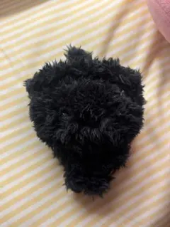 NCTWISH ユウシ ぬいぐるみ バブルニャン