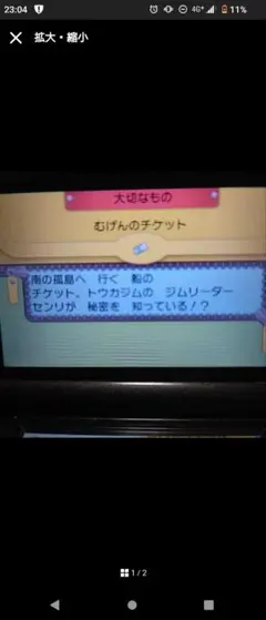 ポケモン　オメガルビー
