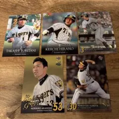 Item thumbnail for item 4b06eb1c-b346-45d4-aa02-5106da88d4c5