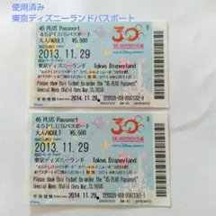 使用済み 東京ディズニーランド 30周年 45 PLUS パスポート 2枚