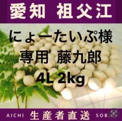 にょーたいぷ様専用　藤九郎　4L 2kg