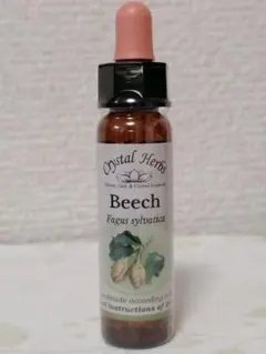 Item thumbnail for item 45ec2a3f-2442-4a71-ba2f-85d278e462d5