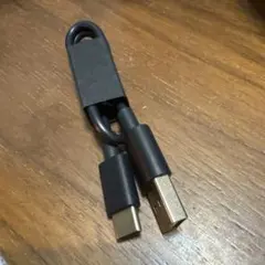 USB-A to USB-C ケーブル 約30cm 黒