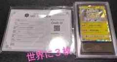 鑑定書付き！イースターのピカチュウ ARS10（PSA10相当）