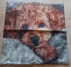 Item thumbnail for item 6e61f7e3-8ca9-4564-b4ce-2bc4072834a0