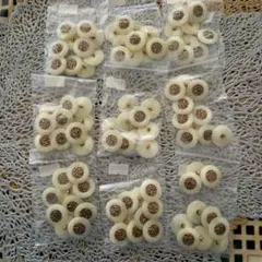 Item thumbnail for item c5a4d617-a4df-451e-9024-071f01f9c147