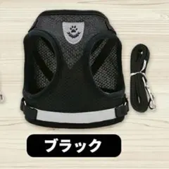 Item thumbnail for item 684827b5-2dc6-44af-82e0-89a723abc338