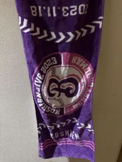 Item thumbnail for item eeb786fc-7473-4365-a35b-a98836ae795a