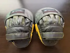 Item thumbnail for item a5edcf6f-50a6-4334-87d7-60cae5002448