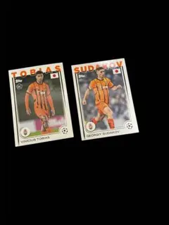 Item thumbnail for item 15946fb6-81f6-41d9-9c60-f23cce0dade9