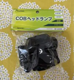 Item thumbnail for item 8c0b09f1-cff3-4f16-b96f-62c5ed7baf36