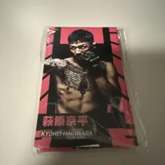 rizin50 ppvカード