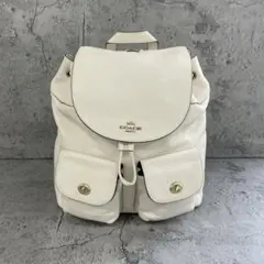 極美品✨COACH コーチ リュック バックパック 白 シグネチャー 大容量 2026年最新】coachリュック白の人気アイテム - メルカリ