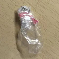 ポケモン めじるしアクセサリー2 シャリタツ