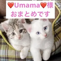 ❤Umama❤♦プロフ必読(^o^)♦様 リクエスト 3点 まとめ商品