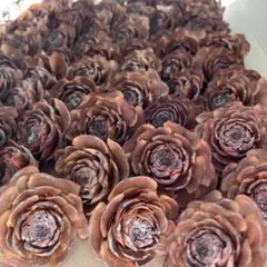 Item thumbnail for item c2015192-a327-4b29-b9dc-60bd68ca44de