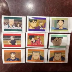 ハイキュー　ぱしゃこれ　9枚セット　伊達高、白鳥沢、音駒、青葉城西、梟谷、烏野