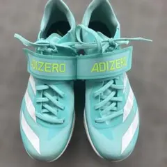 Item thumbnail for item 9af220b4-c28b-4218-b823-779b4439f8ab