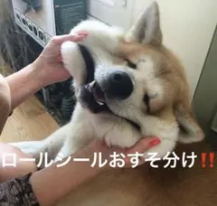 ロールシールおすそ分け‼️ お得に出品‼️フォロワー様のみ‼️