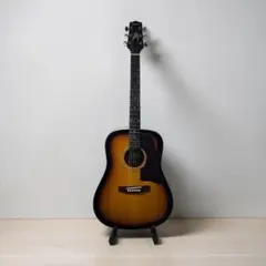 2026年最新】takamine アコースティックギターの人気アイテム - メルカリ