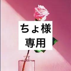 ちょ様 専用のサムネイル